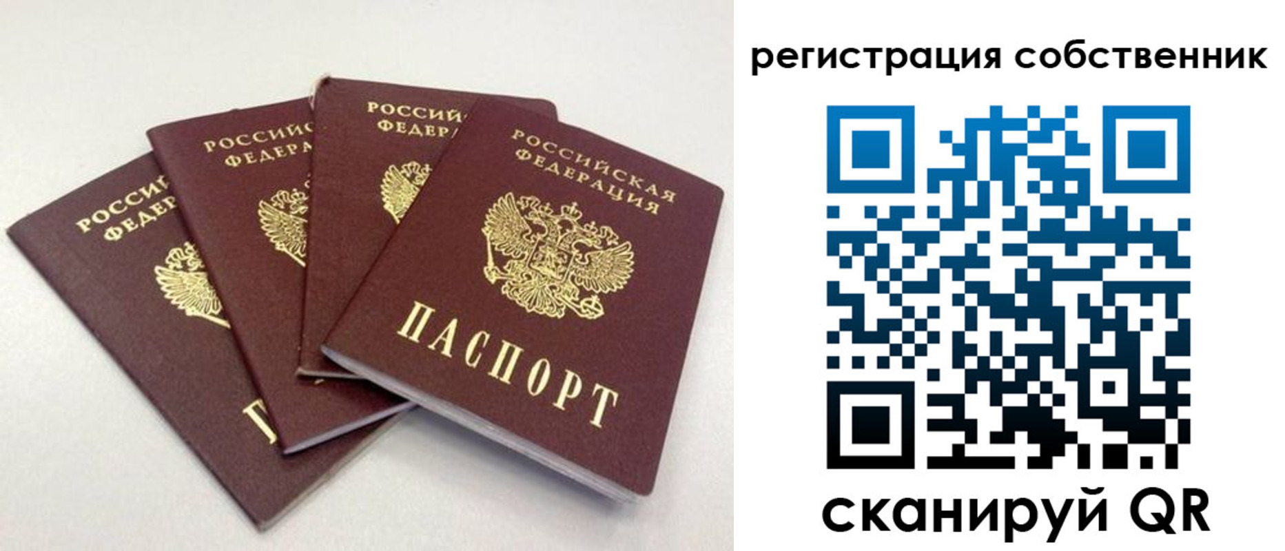 прописка для школы в Борзе
